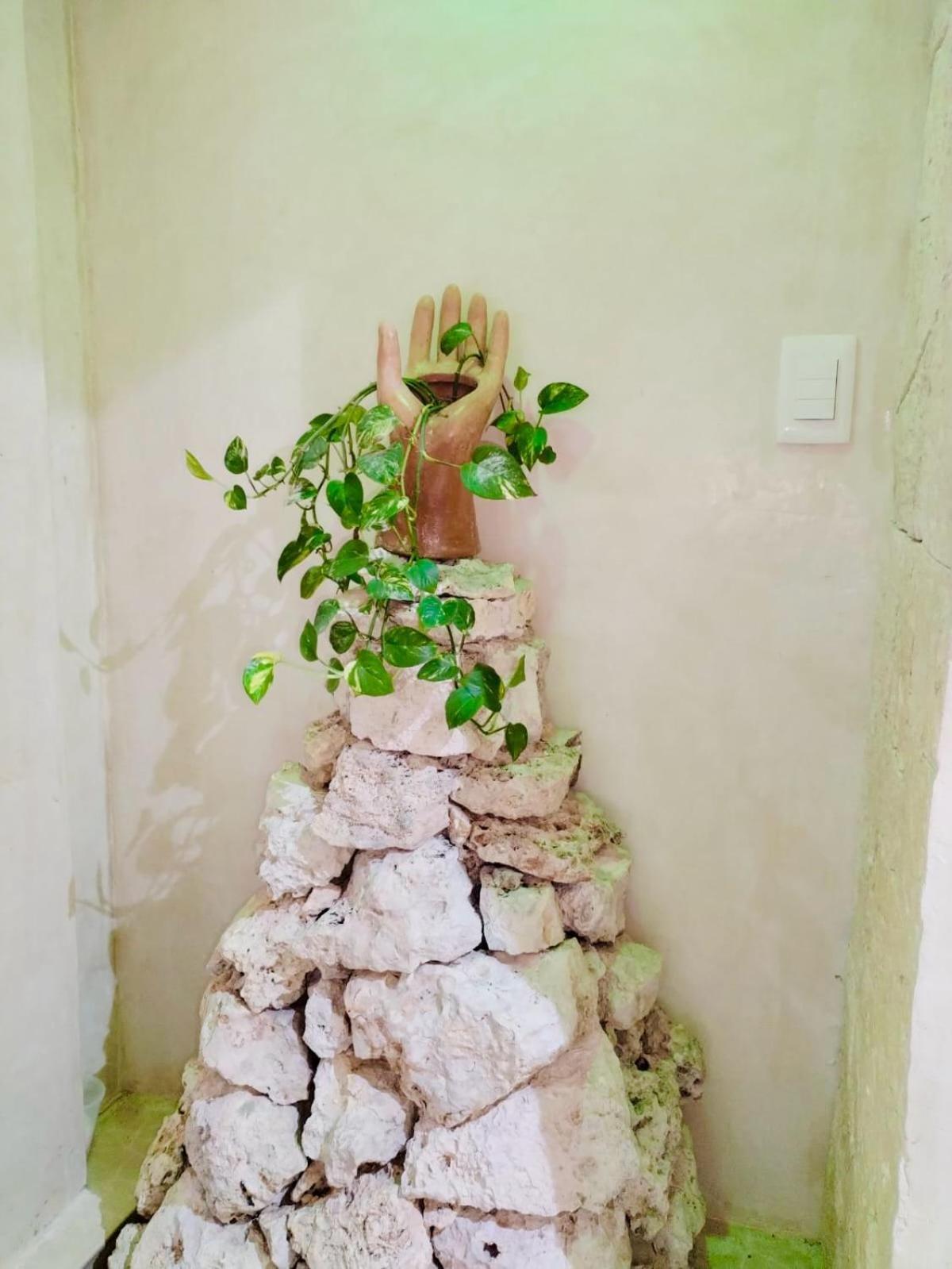 Hotel Sacbe Cobá מראה חיצוני תמונה
